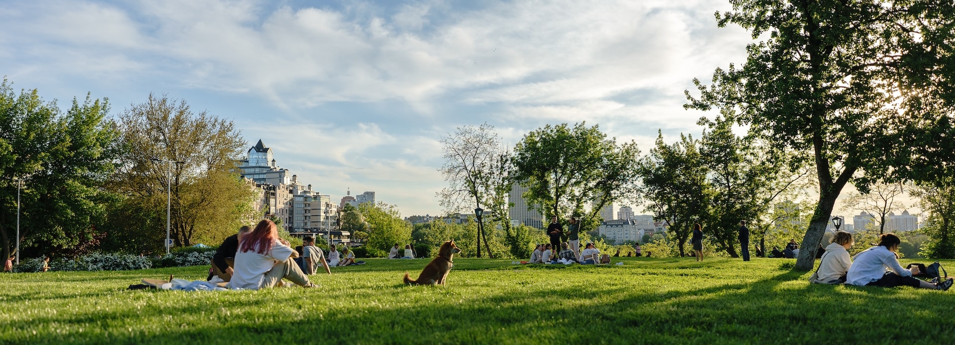 People and dogs sitting in a park. 